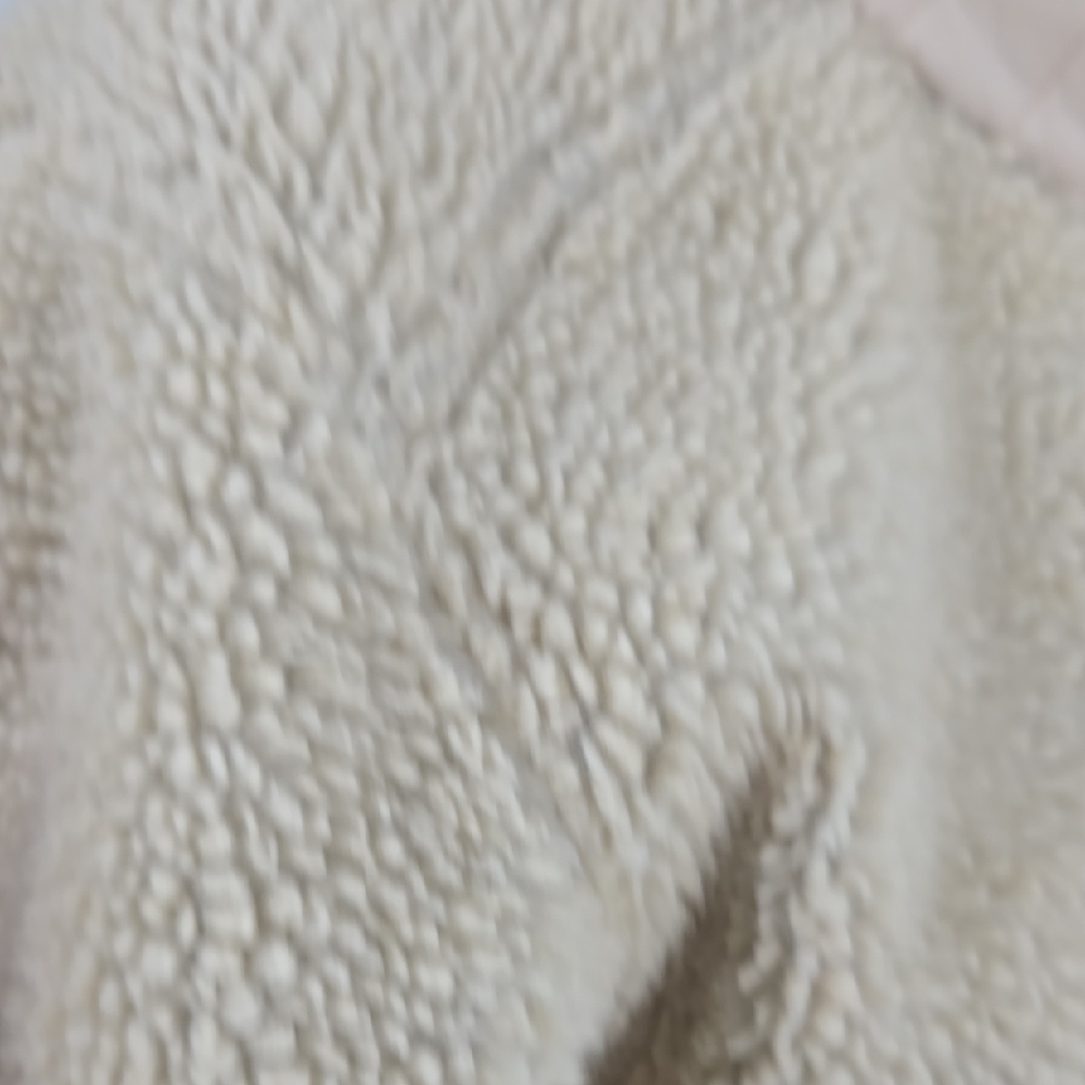 Patagonia Cream Teddy Jacket Full-Zip Stand-Up Collar - Picture 10 of 14
